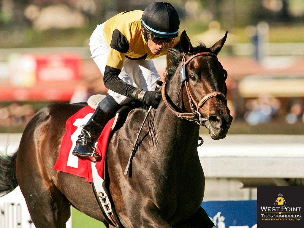 Unknown Artist hosr02